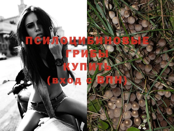 бошки Волосово