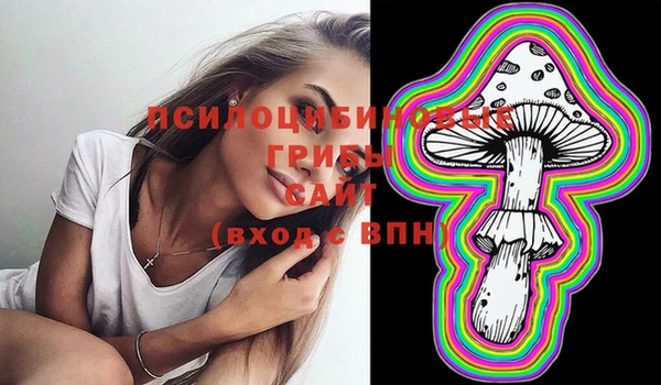 бошки Волосово