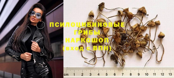 ГАЛЛЮЦИНОГЕННЫЕ ГРИБЫ Волоколамск