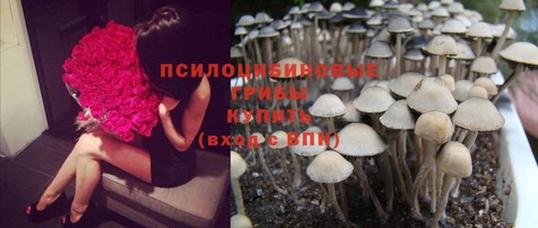 ГАЛЛЮЦИНОГЕННЫЕ ГРИБЫ Волоколамск
