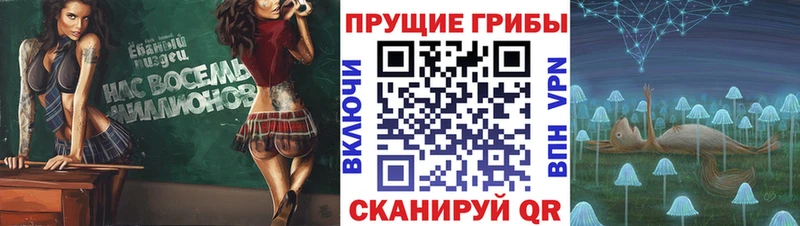 Псилоцибиновые грибы Cubensis Губкинский