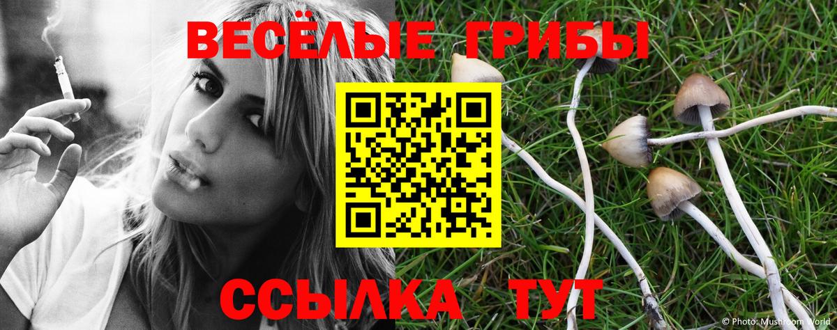 Губкинский  как найти закладки  Вход с VPN  Галлюциногенные грибы Cubensis 