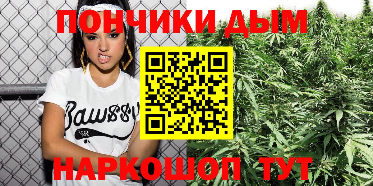 Бошки Шишки VHQ Губкинский